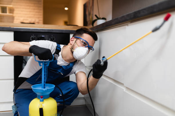 Best Best Pest Control Companies  in Blandon, PA