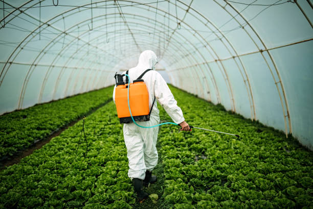 Best Affordable Pest Control Services  in Blandon, PA