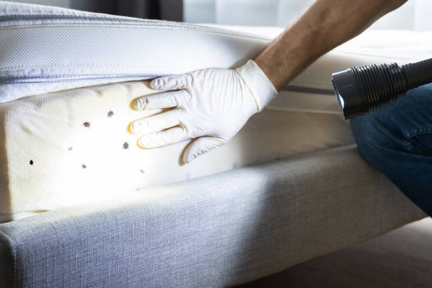 Best Mosquito Control Services  in Blandon, PA