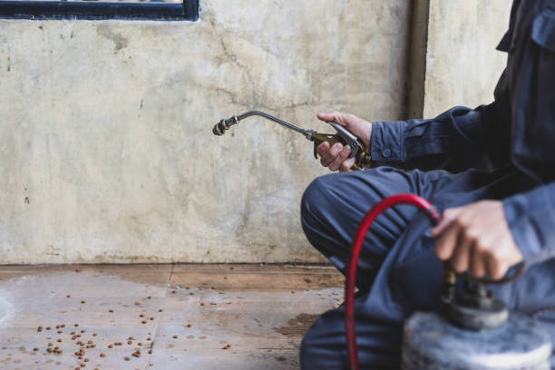Best Best Pest Control Companies  in Blandon, PA